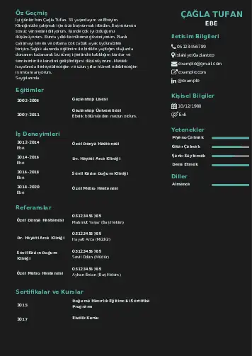 Ebe Cv Örnekleri cv indir